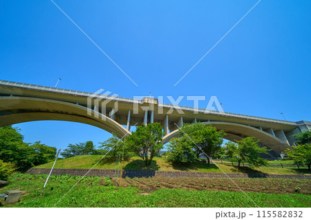 東京都稲城市若葉台の上谷戸大橋(かさやとおおはし)を公園から仰ぎ見る 東京都稲城市若葉台の上谷戸大橋(かさやとおおはし)を公園から仰ぎ見る 115582832