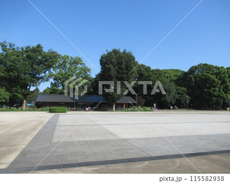 上野公園の広場 上野公園の広場 115582938