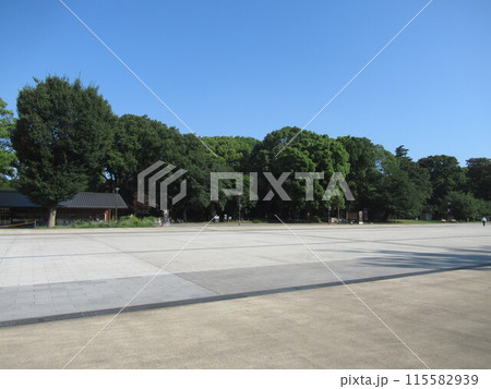 上野公園の広場 上野公園の広場 115582939