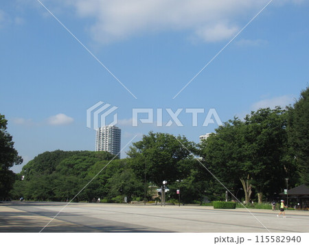 上野公園の広場 上野公園の広場 115582940