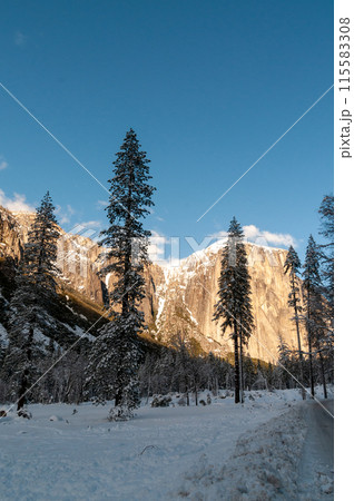 Snow-covered yosemite valley Snow-covered yosemite valley 115583308