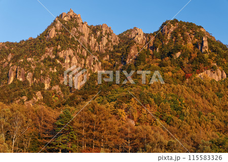 みずがき山自然公園から見る夕照の瑞牆山 みずがき山自然公園から見る夕照の瑞牆山 115583326