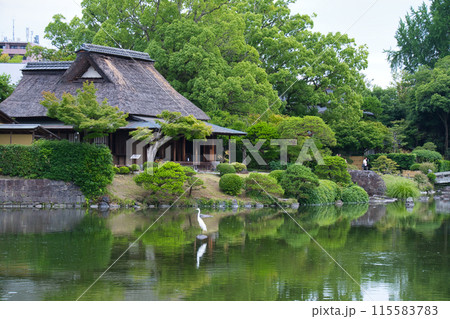 熊本県の水前寺公園 熊本県の水前寺公園 115583783
