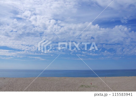 初夏の日本海 115583941