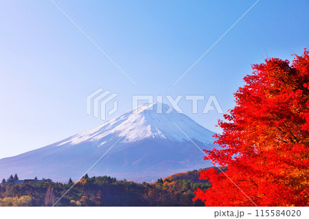 秋の紅葉と富士山 115584020