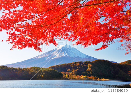 秋の紅葉と富士山 115584030