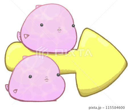 2匹のダンゴウオと右向きの矢印(さくら色) 115584600