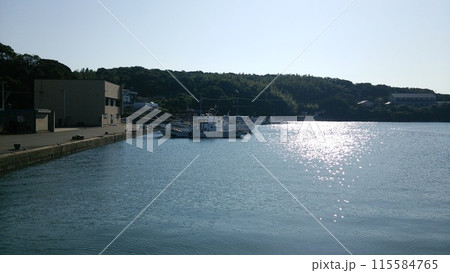 日間賀島の景色 115584765