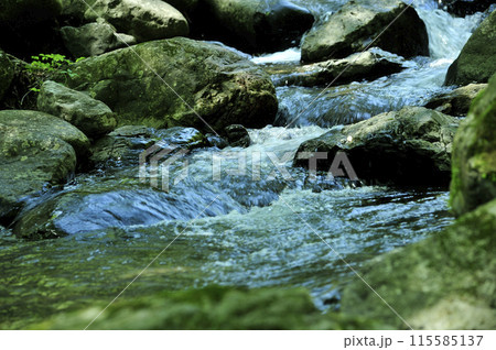 小川の水の流れ 小川の水の流れ 115585137