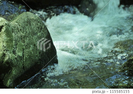 小川の水の流れ 115585155