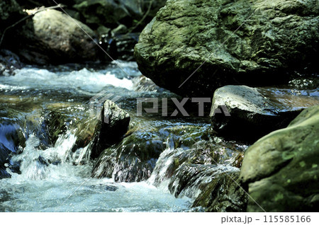 小川の水の流れ 小川の水の流れ 115585166