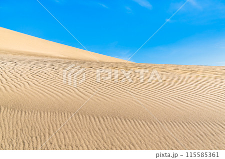 鳥取砂丘 風紋の砂丘と青い空 鳥取砂丘 風紋の砂丘と青い空 115585361