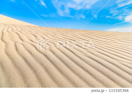 鳥取砂丘 風紋の砂丘と青い空 鳥取砂丘 風紋の砂丘と青い空 115585366