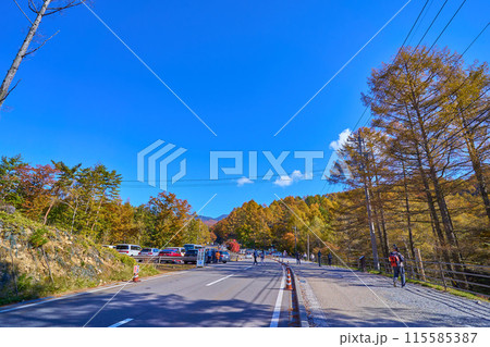 秋の長野県茅野市豊平の御射鹿池から駐車場方面を見る 115585387