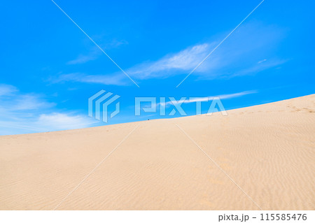 鳥取砂丘　風紋の砂丘と青い空 115585476
