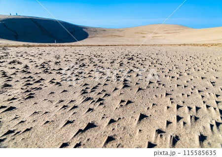 鳥取砂丘　砂柱 115585635