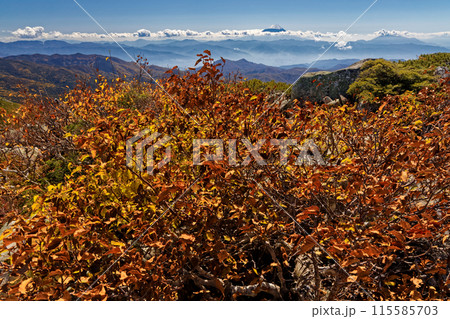 金峰山山頂の紅葉と富士山の眺め 115585703