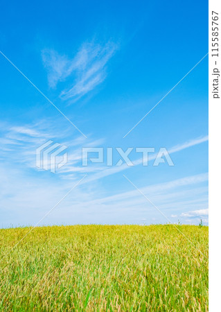 仁賀保高原 115585767