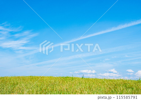 仁賀保高原 115585791