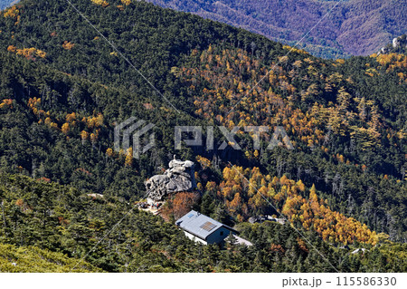 金峰山山頂から見る秋色の金峰山小屋 金峰山山頂から見る秋色の金峰山小屋 115586330