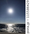 海 115586429