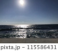 海 115586431