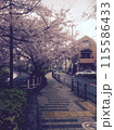 桜 115586433