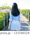 後ろ美人 115586528