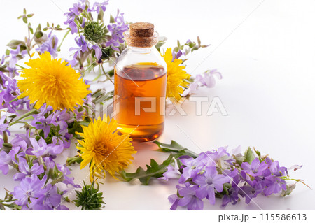 Dandelion flowers and dandelion flowers tincture on white background. Flat lay 115586613