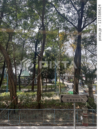 香港の風景 115586624