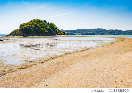 岡山県瀬戸内市牛窓にある黒島ヴィーナスロードの中ノ小島 岡山県瀬戸内市牛窓にある黒島ヴィーナスロードの中ノ小島 115586800