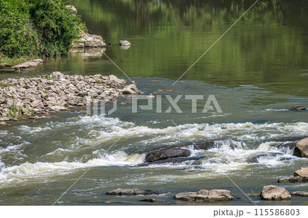 京都南部の渓流木津川　京都府南山城村 115586803