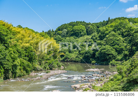 京都南部の渓流木津川　京都府南山城村 115586806