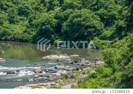 京都南部の渓流木津川 京都府南山城村 京都南部の渓流木津川 京都府南山城村 115586810