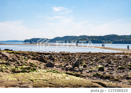 岡山県瀬戸内市牛窓にある黒島ヴィーナスロード 岡山県瀬戸内市牛窓にある黒島ヴィーナスロード 115586828