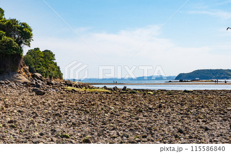 岡山県瀬戸内市牛窓にある黒島ヴィーナスロード 115586840