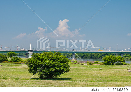 淀川河川公園枚方地区　枚方市　 115586859