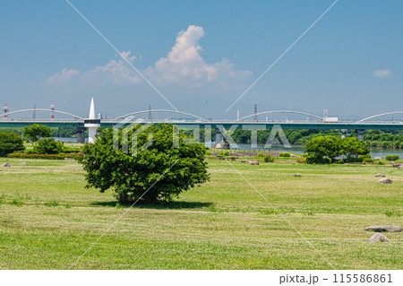 淀川河川公園枚方地区　枚方市　 115586861