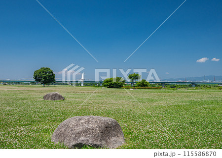 淀川河川公園枚方地区 枚方市 淀川河川公園枚方地区 枚方市 115586870