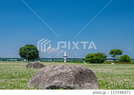 淀川河川公園枚方地区 枚方市 淀川河川公園枚方地区 枚方市 115586871