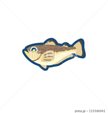 かわいいハタハタのイラスト かわいいハタハタのイラスト 115586941