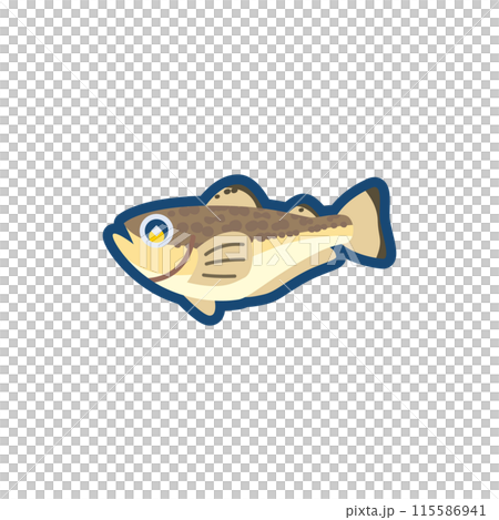 かわいいハタハタのイラスト かわいいハタハタのイラスト 115586941