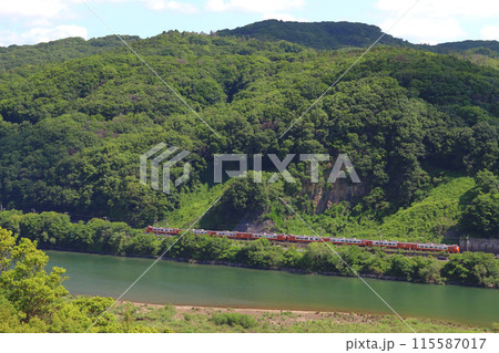 新緑の高梁川と伯備線特急やくも号（273系電車：岡山⇔出雲市） 115587017