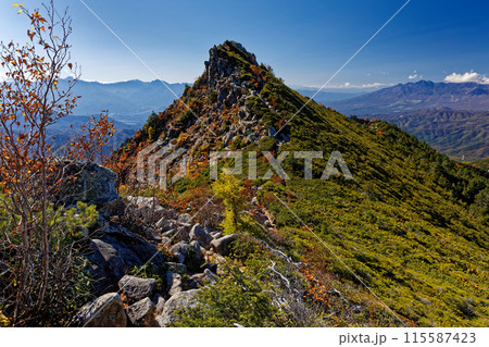 秋色の金峰山稜線と八ヶ岳の眺め 秋色の金峰山稜線と八ヶ岳の眺め 115587423