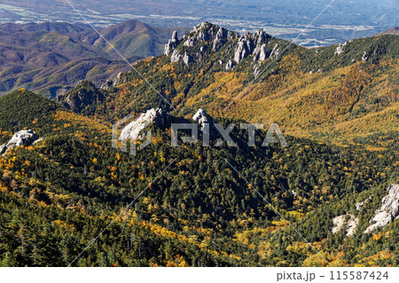 金峰山稜線から見る瑞牆山・大日岩 金峰山稜線から見る瑞牆山・大日岩 115587424