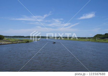 夏の印旛沼の景色 115587680