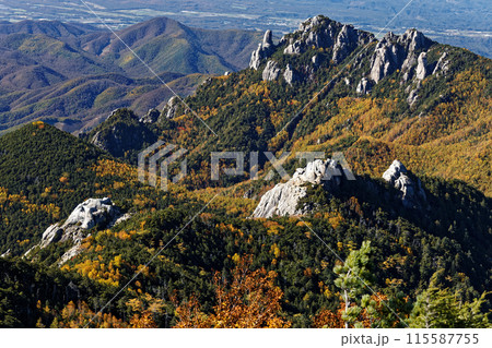 金峰山稜線から見る秋の瑞牆山・大日岩 115587755