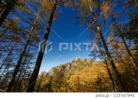 富士見平下から見る紅葉の瑞牆山 115587948