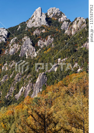 富士見平下から見る紅葉の奥秩父・瑞牆山 115587952