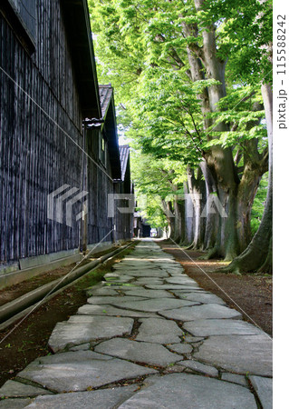 ケヤキと山居倉庫（山形県・酒田市） 115588242